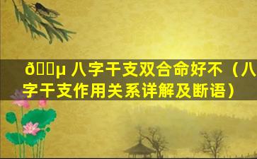 🐵 八字干支双合命好不（八字干支作用关系详解及断语）